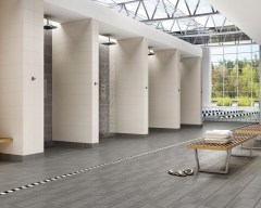 Paradyz Bazo