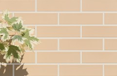 Cerrad Sand
