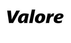 valore_logo_240x240