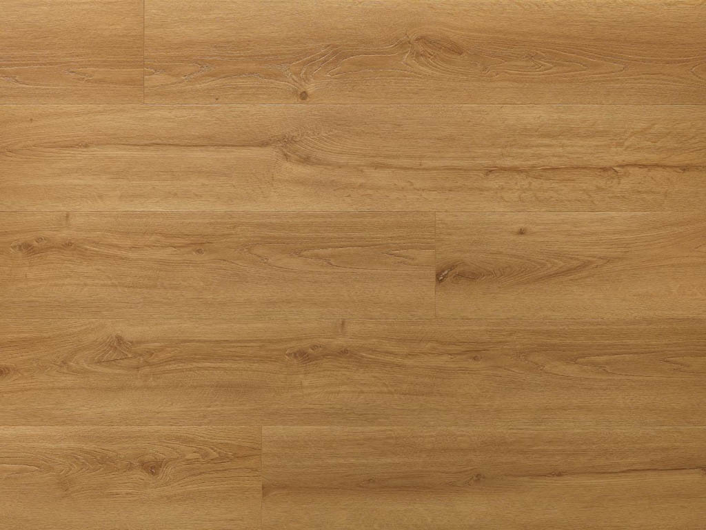 arbiton_2025_66.jpg