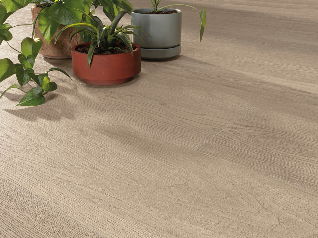 cifre_heartwood_6.jpg