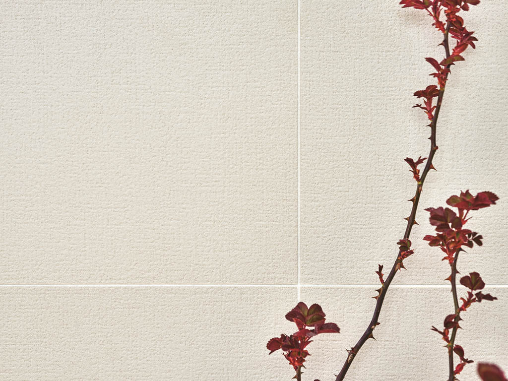 decoratori_silk_4.jpg
