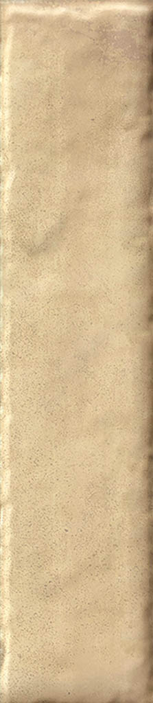 paradymonpelli_02.jpg