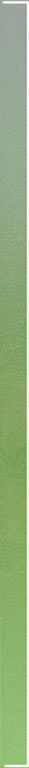 Paradyz Uniwersalna Listwa Verde dekorcsík 2,3 x 59,5