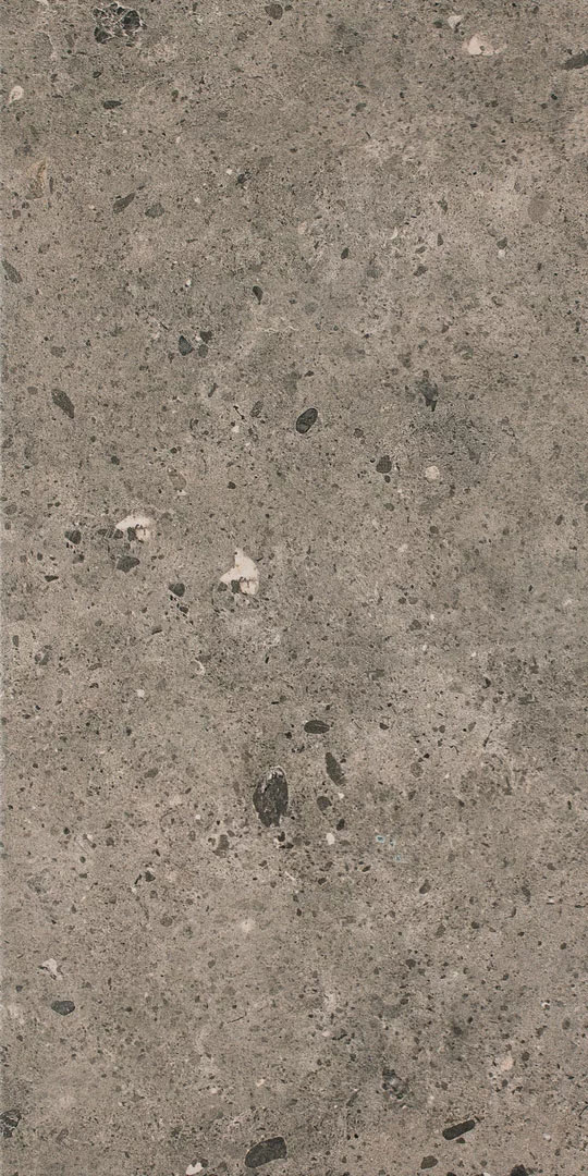 paradyz_starlight_01.jpg