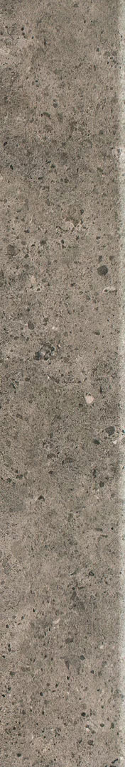paradyz_starlight_10.jpg