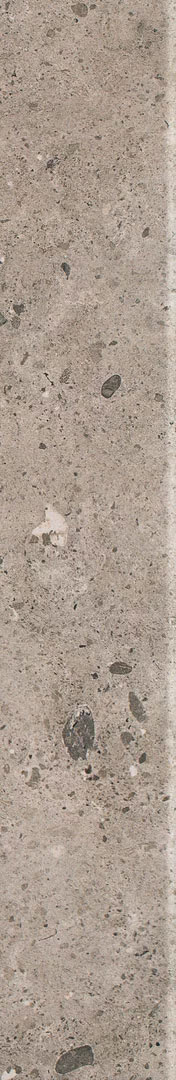 paradyz_starlight_11.jpg