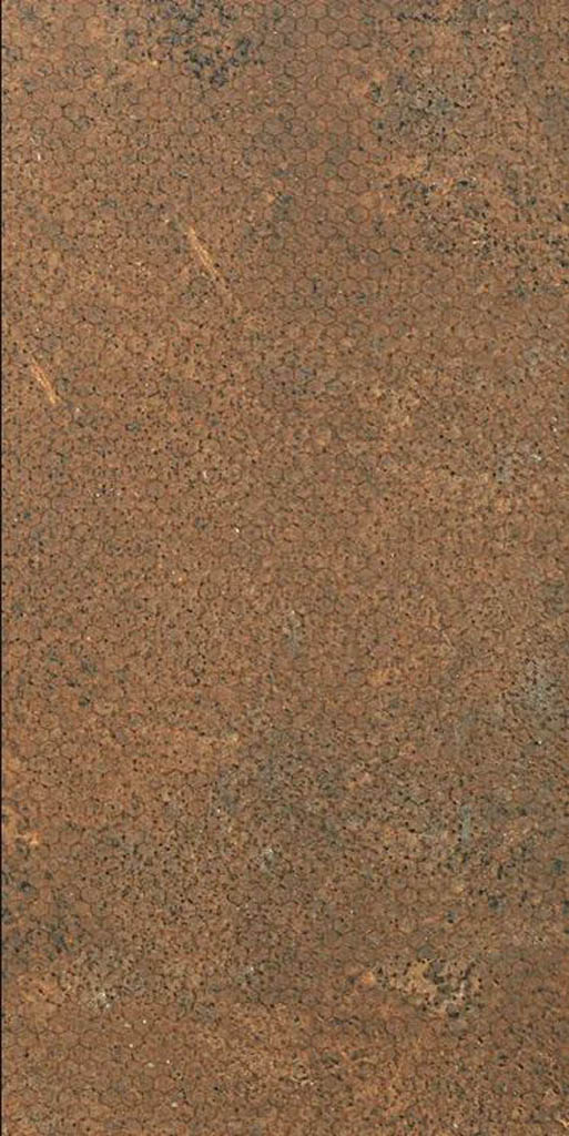 paradyzkalaharirust60x120.jpg