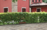 antica_murodisiena_1.jpg