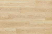 arbiton_2025_16.jpg