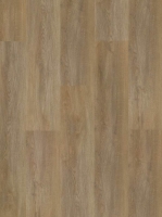 arbiton_2025_284.jpg