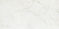 arte_rainforest_01.jpg