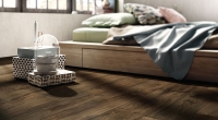castelvetro_woodland_9.jpg