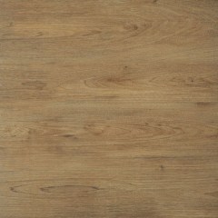cerrad_20240119_325.jpg