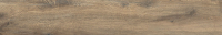 cerrad_20240119_57.jpg