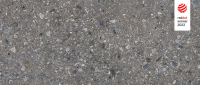 cerrad_20240119_77.jpg