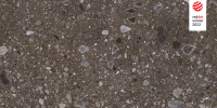 cerrad_20240119_86.jpg
