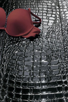 crocotiles4.jpg