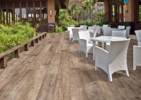 crz64_kauri_2.jpg