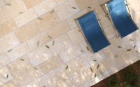 herberia-trani5.jpg