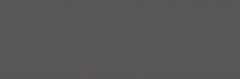 Ape falicsempe Ape Home Tube Graphite falicsempe