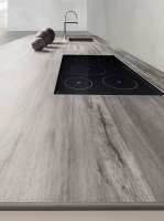 laminam_legnovenezia_3.jpg