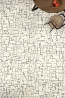 lichen6.jpg