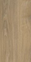 paradyz_ideal_01.jpg