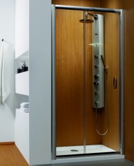 Radaway zuhanyajtó Radaway Premium Plus DWJ 100 átlátszó