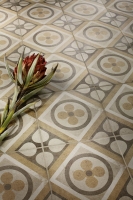 ragno_ottocento_6.jpg