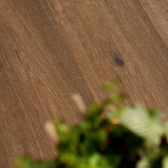 ragno_woodtalext20_3.jpg