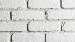 stegu_2025_256