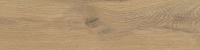 taigahon.jpg