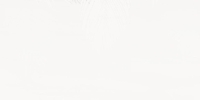 Valore Veil Leaves A Element 1 dekorcsempe 60x120 cm