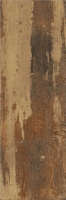 zgd_62067_l9.jpg