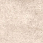 zal314.jpg